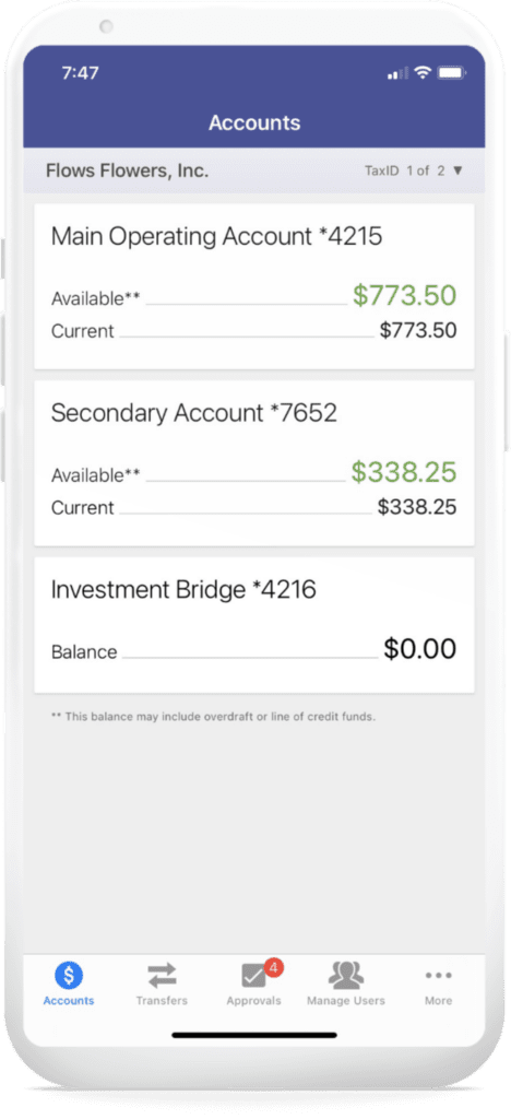 An image of online treasury accounts on online banking.