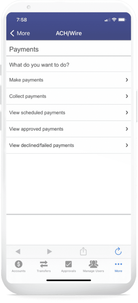 An image of ach/wire payment options.