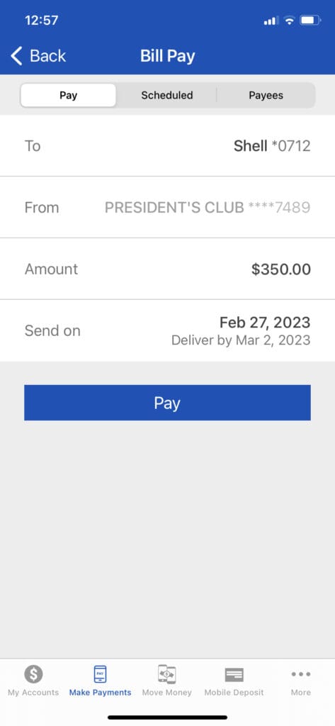 Complete the details and select Pay.